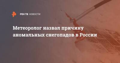 Роман Вильфанд - Метеоролог назвал причину аномальных снегопадов в России - ren.tv - Москва - Россия