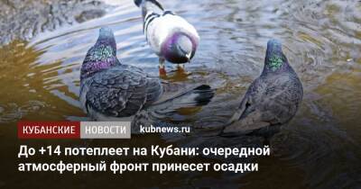 До +14 потеплеет на Кубани: очередной атмосферный фронт принесет осадки - kubnews.ru - Краснодарский край - Краснодар