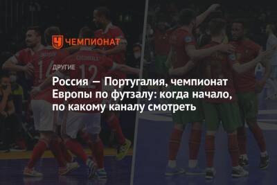 Португалия - Россия — Португалия: где смотреть финал чемпионата Европы — 2022 по мини-футболу, когда начнётся прямой эфир - championat.com - Россия - Украина - Казахстан - Грузия - Испания - Финляндия - Словения - Голландия - Португалия - Амстердам