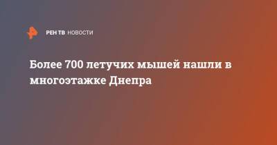 Более 700 летучих мышей нашли в многоэтажке Днепра - ren.tv - Днепр