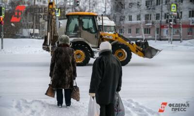 Евгений Поторочин - Части пенсионеров сдвинут даты выплаты пенсий в феврале - fedpress.ru - Москва - Россия