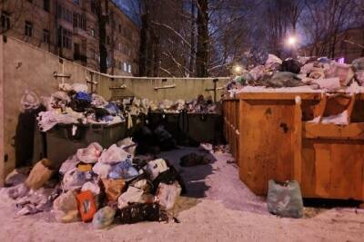 Почти к 30 площадкам мусоровозы не смогли подъехать из-за неубранного снега в Новгороде - mk.ru - Великий Новгород