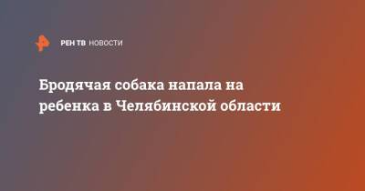 Бродячая собака напала на ребенка в Челябинской области - ren.tv - Челябинская обл. - Челябинск - район Советский, Челябинск