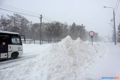 Путь анивских детей до школы: бездорожье, стаи собак и медведи - sakhalin.info - Курильск - Сахалинская обл. - Южно-Сахалинск