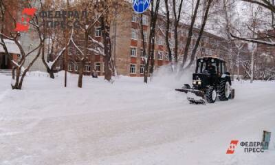 Елен Майоров - Мощный снегопад обрушится на Владивосток: дата известна - fedpress.ru - Россия - Владивосток