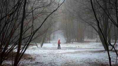 Новая неделя принесёт в Воронеж потепление до +4 и дожди - vestivrn.ru - Воронеж - Воронежская обл.