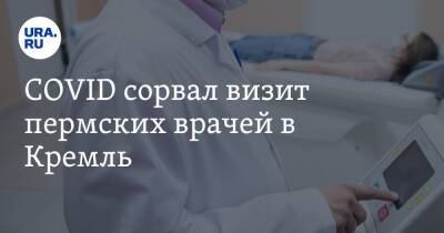 Олег Орлов - COVID сорвал визит пермских врачей в Кремль - ura.news