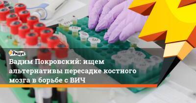 Вадим Покровский - Вадим Покровский: ищем альтернативы пересадке костного мозга в борьбе с ВИЧ - ridus.ru - Голландия