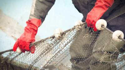 Траулер под флагом Литвы сбросил сотню тысяч мертвых рыб у берегов Франции - obzor.lt - Франция - Литва