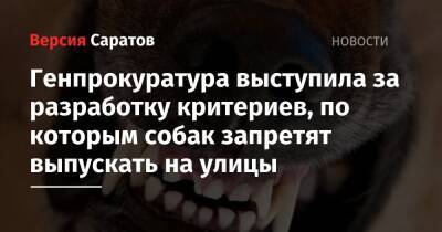 Владимир Путин - Генпрокуратура выступила за разработку критериев, по которым собак запретят выпускать на улицы - nversia.ru - Россия - Саратов