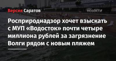 Росприроднадзор хочет взыскать с МУП «Водосток» почти четыре миллиона рублей за загрязнение Волги рядом с новым пляжем - nversia.ru - Россия - Саратовская обл. - Пензенская обл.