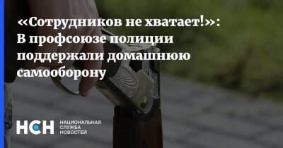 «Сотрудников не хватает!»: В профсоюзе полиции поддержали домашнюю самооборону - nsn.fm - Москва - округ Северо-Восточный, Москва