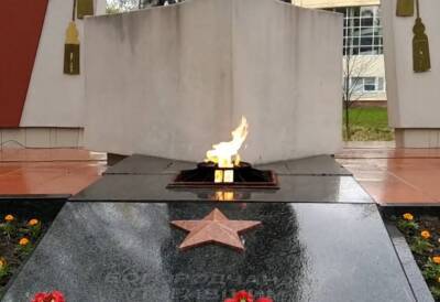 В селе Ростовской области вместо Вечного огня у мемориала его изображение включили на экране - topwar.ru - Россия - Ростовская обл. - район Неклиновский
