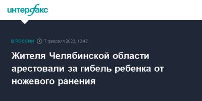 Александр Бастрыкин - Жителя Челябинской области арестовали за гибель ребенка от ножевого ранения - interfax.ru - Москва - Россия - Челябинская обл.