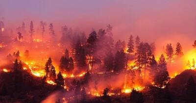 Огненная буря охватила 10% Земли: ученые нашли следы пожара, вызвавшего ледниковый период - focus.ua - Украина - штат Канзас
