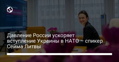 Давление России ускоряет вступление Украины в НАТО – спикер Сейма Литвы - liga.net - Россия - Украина - Крым - Грузия - Швеция - Литва - Финляндия