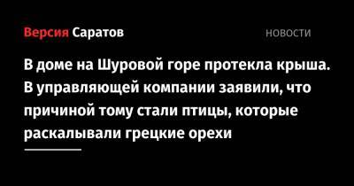 В доме на Шуровой горе протекла крыша. В управляющей компании заявили, что причиной тому стали птицы, которые раскалывали грецкие орехи - nversia.ru