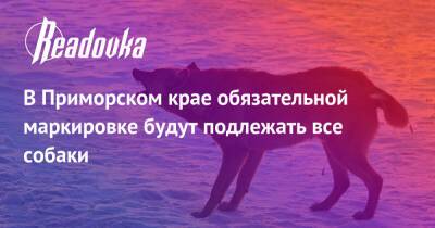 Олег Кожемяко - В Приморском крае обязательной маркировке будут подлежать все собаки - readovka.news - Россия - Приморье край