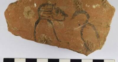 Записки из прошлого. Археологи нашли тысячи табличек, описывающих жизнь древних египтян (фото) - focus.ua - Украина - Египет