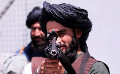 Усама Бен-Ладен - Талибы не согласны с выводами ООН об активности террористов в Афганистане - eadaily.com - Россия - Узбекистан - Афганистан - Пакистан