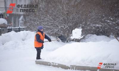 Михаил Леус - Перед оттепелью Петербург успел побить рекорд этой зимы по высоте сугробов - fedpress.ru - Санкт-Петербург