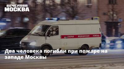 Два человека погибли при пожаре на западе Москвы - vm.ru - Москва - Москва - На