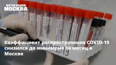 Александр Гинцбург - Коэффициент распространения COVID-19 снизился до минимума за месяц в Москве - vm.ru - Москва - Россия - Красноярский край - Санкт-Петербург - Московская обл. - Воронежская обл. - Ростовская обл. - Пермский край - Самарская обл. - Москва