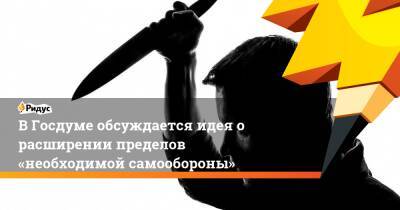 Ярослав Нилов - В Госдуме обсуждается идея о расширении пределов «необходимой самообороны» - ridus.ru - Россия - Царьград