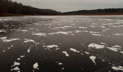 Воронежская пенсионерка спасла хаски из ледяной воды - newizv.ru - Санкт-Петербург - Сочи