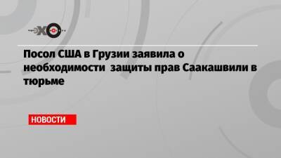 Григол Вашадзе - Посол США в Грузии заявила о необходимости защиты прав Саакашвили в тюрьме - echo.msk.ru - США - Грузия