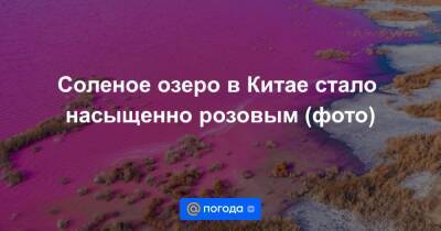 Екатерина Гура - Соленое озеро в Китае стало насыщенно розовым (фото) - news.mail.ru - Китай