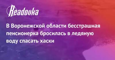 В Воронежской области бесстрашная пенсионерка бросилась в ледяную воду спасать хаски - readovka.ru - Воронежская обл. - Приморье край