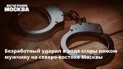 Безработный ударил в ходе ссоры ножом мужчину на северо-востоке Москвы - vm.ru - Москва - Россия - Москва