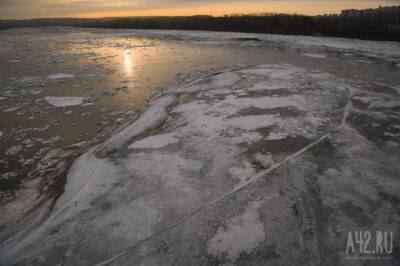 В Воронежской области пенсионерка прыгнула в ледяную воду, чтобы спасти собаку - gazeta.a42.ru - Воронежская обл.