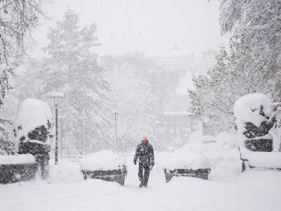 Синоптики назвали причину аномальных снегопадов этой зимой в России - bloknot.ru - Россия