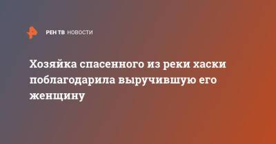 Хозяйка спасенного из реки хаски поблагодарила выручившую его женщину - ren.tv - Воронежская обл.