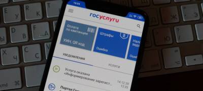 Михаил Мишустин - Несовершеннолетние россияне получат доступ к порталу госуслуг - stolicaonego.ru - Россия