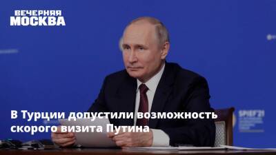 Владимир Путин - Реджеп Тайип Эрдоган - Ибрагим Калын - В Турции допустили возможность скорого визита Путина - vm.ru - Россия - Украина - Турция - Анкара