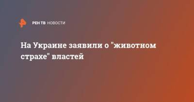 Владимир Зеленский - На Украине заявили о "животном страхе" властей - ren.tv - Украина - Черкасская обл.