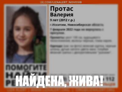В Новосибирской области прекратили поиски 9-летней девочки - sib.fm - Новосибирск - Новосибирская обл. - район Искитимский