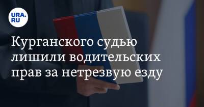 Курганского судью лишили водительских прав за нетрезвую езду - ura.news - Курганская обл. - Курган