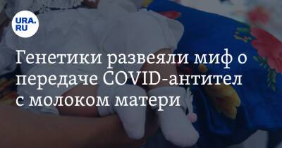 Генетики развеяли миф о передаче COVID-антител с молоком матери - ura.news