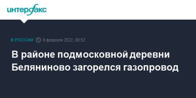 В районе подмосковной деревни Беляниново загорелся газопровод - interfax.ru - Москва - Россия - Московская обл.