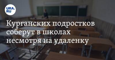 Вадим Шумков - Курганских подростков соберут в школах несмотря на удаленку - ura.news - Курганская обл.