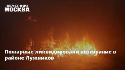 Пожарные ликвидировали возгорание в районе Лужников - vm.ru - Москва - Москва - Лужники