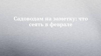 Садоводам на заметку: что сеять в феврале - chelny-izvest.ru