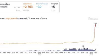 2763 тюменца заболели коронавирусом за сутки - nashgorod.ru - Россия - Тюменская обл. - Югра - окр. Янао - Скончался