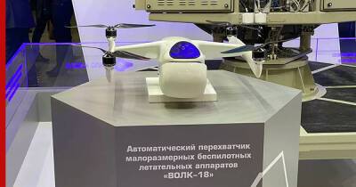Испытания дрона-перехватчика "Волк-18" стартовали в Самаре - profile.ru - Москва - Самара