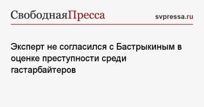 Владимир Путин - Александр Бастрыкин - Эксперт не согласился с Бастрыкиным в оценке преступности среди гастарбайтеров - svpressa.ru - Россия