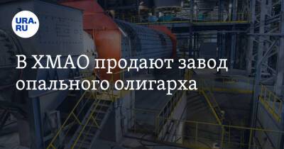 В ХМАО продают завод опального олигарха - ura.news - Сургут - Югра